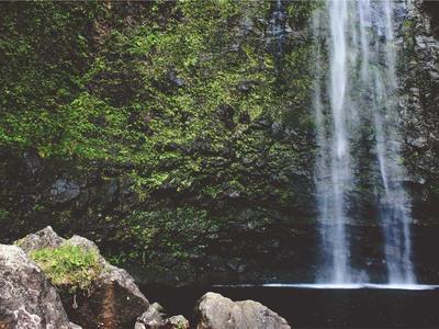 Close-up of climate control components.